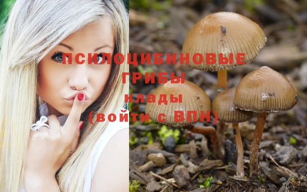 гашишное масло Верея