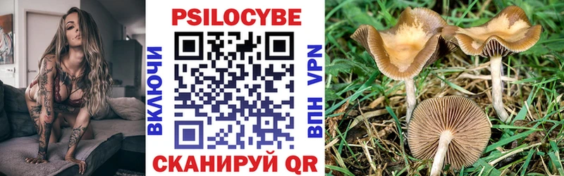 ссылка на мегу зеркало  Ува  Галлюциногенные грибы Cubensis 